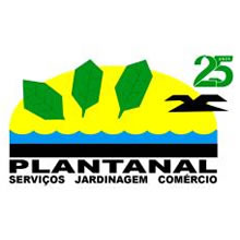 Plantanal Plantas Naturais - Ancec